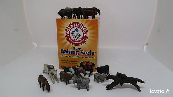 jorge lovato photograph baking soda and miniature horses,cowsand horsemen